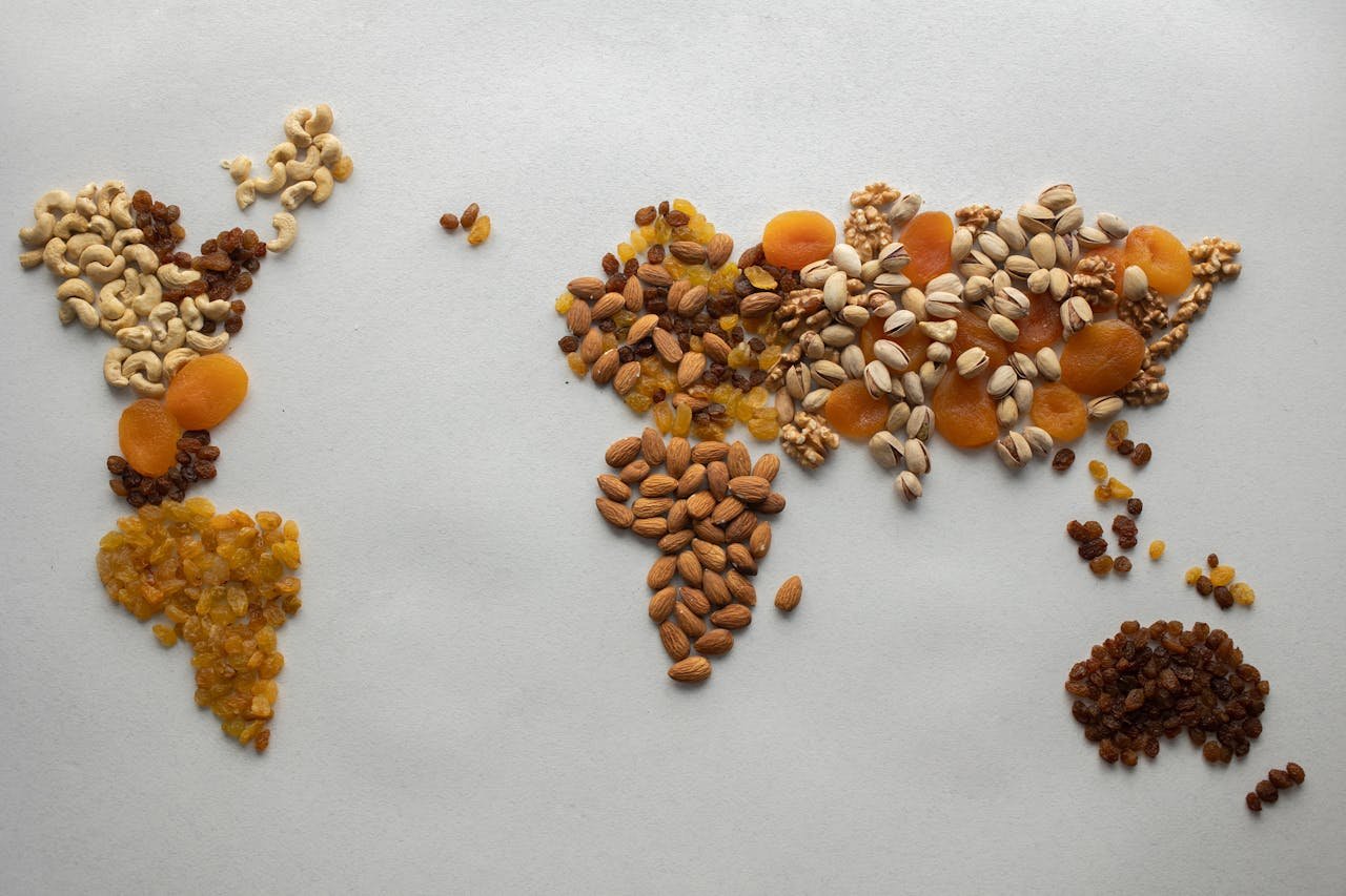 gallery-6 Top view of creative world continents made of various nuts and assorted dried fruits on white background in light room
